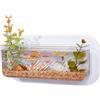 Vesidoloy Acquario da parete - Contenitore per piante senza foratura, trasparente, per soggiorno, camera da letto, cucina, appartamento