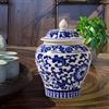 Vaso di zenzero in ceramica Vaso di zenzero asiatico multiuso in stile