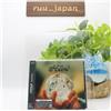 CD New Stray Kids Hollow Standard Edition CD Japan