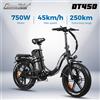 ChamRider DT450 750W E-Mountain Bike adulto Ebike 48V 50AH bici elettrica batteria bicicletta elettrica pieghevole E-Bike - 750W 48V 50AH