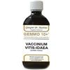 DR.GIORGINI SER-VIS Srl gemmo 10+ mirtillo rosso liquido analcolico 500 ml