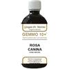 DR.GIORGINI SER-VIS Srl gemmo 10+ rosa canina liquido analcolico 500 ml