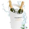 Relaxdays Secchiello per Il Ghiaccio, Glacette in Plastica Porta 2 Bottiglie Champagne e Spumante, 29,5 x 21,5 x 23,5 cm