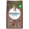 FORZA 10 MAINTENANCE CANE SECCO Medium Adult Agnello e Riso 12 kg