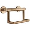 Delta Faucet 41550-CZ - Porta fazzoletti contemporaneo, colore: bronzo champagne