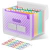 ThinkTex Cartella Portadocumenti Espandibile, A4 Porta Documenti Fisarmonica, 12 Tasche Raccoglitore Documenti, Portatile Cartelle a Soffietto per Casa Scuola Ufficio Viaggio - Viola