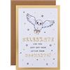 Hallmark Biglietto di compleanno - Harry Potter Hedwig Owl & Letter Design