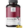HealthyWorld® Berberina HCL 500 mg - Supporto dello Zucchero nel Sangue e dei Trigliceridi - Controllo del Glucosio - 180 Capsule Vegetali, scorta per 6 mesi - Estratto di Berberis Aristata