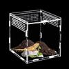 BUOSHUO Terrario acrilico 15x15x15 cm, mini terrario adatto per lumache, rettili, ragni, lucertole, scarafaggi