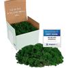 Mia Milano I Muschio Stabilizzato Islandese I Muschio Naturale per Parete, Presepe, Decorazioni o Modellismo I Verde Scuro I 500 g