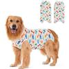 DoggieKit Body Post Operatorio Cane Femmina Tutina Post Operatoria Cane Body Chirurgico per Cani Maschio Tuta Recupero per Cani di Ferite Addominali, Anti-Leccamento (Bianco-dinosauro, 3XL)