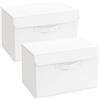 DIMJ Scatole per Armadio - Scatole Portaoggetti Contenitori con Coperchio Pieghevole, Scatola Porta Oggetti con Manici, Non Tessuto, per Armadio, Scaffali, 2 Pezzi, Bianco, 38 x 25 x 25 cm