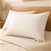 NARCISO Coppia Cuscini Letto Matrimoniale Made in Italy con Fodera Bianca in Microfibra, Guanciale Letto Antiacaro e Anallergico, Cuscini Cervicale per Dormire con Imbottitura in Fibra di Poliestere