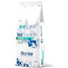 MONGE 12 kg Monge VetSolution Cane Diabetic Alimento Dietetico Crocchette Croccantini per il Controllo dell'Apporto di Glucosio in Caso di Diabete Mellito