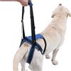 Lainiaoly Imbracatura Di Supporto Per Cani,Ausilio Mobilità Supporto Cane | Attrezzo Sollevamento Anziani Animali Anca Posteriore Per Stare In Piedi Deambulazione