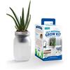Back to the Roots Kit di coltivazione autoirrigante - Fioriere idroponiche in vetro per piante grasse e cactus, sistema di auto-irrigazione senza problemi
