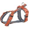 Trixie Pettorina per cani Premium Trekking ruggine marrone/grigio grafite 32-38x1,3 cm