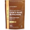 Horbäach Lions Mane Polvere 100g | Hericium Erinaceus | Criniera di Leone Fungo Integratore | Estratto di Funghi ad Alto Dosaggio | Mushroom Supplement | di Horbaach