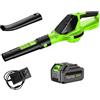 Carziyer Soffiatore a batteria da 21 V, Aspirafoglie a Batteria 3000 W, soffiatore elettrico a 5 marce, spazzaneve per la cura del prato,soffiatore parkside