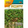 PERAGA GARDEN SEMI DI FRAGOLA CASCANTE ALPINA attila - FRANCHI SEMENTI SELEZIONATE GLBZ63/4