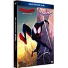 Sony pictures Spider-Man: New Generation + Across The Spider-Verse