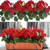 YELIKIT Fiori artificiali per esterni, 4 fasci di gerani, piante finte, fiori primaverili ed estivi, in seta, resistenti ai raggi UV, piante da interni ed esterni, per giardino, portico, matrimonio,