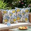 Kiatuniya Federe Cuscini Divano 40x40 Esterno Impermeabili Limone Giallo Blu all'Aperto Copricuscini Primaverili Estate Quadrati Federe per Cuscino Decorativi Moderni per Giardino Balcone Set di 2