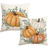 Artoid Mode Set da 2 Federe Cuscini Autunnali Zucche Eucalipto 40x40 cm | Stagionali Fall Decorazioni per Divano Salotto