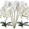 HinyoCo 5 Pz Fiori Orchidea Finta Ramo Artificiali Phalaenopsis Fiori Orchidea con 2 Pz Foglie per Casa Decorazione (Bianco)