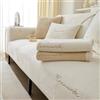 FASCINATDECO Copridivano 1/2/3/4 Posti con Braccioli, Copriseduta Divano, Copridivano Antigraffio Gatto, Copridivano Angolare Antiscivolo, Telo Copridivano, Beige, 70x150cm