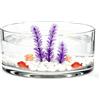 Artibetter Grande vaso in vetro terrario per piante grasse: vaso di vetro per esporre piante aeree centrotavola decorativo contenitore floreale ciotola per pesci per casa matrimonio 20 x 20 cm