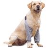 DKDDSSS Tutore per Gomito del Cane, Protezione Gomiti per Ginocchiere per Cani Articolazioni Gomitiere Tutore Ginocchio Cane Ferita Manicotto Recupero per Cani di Taglia Media e Grande (2XL, Grigio)
