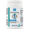 LABORATOIRE NUTERGIA ERGYCARTIL Flex 60 Cps