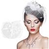 Rapidbok Piume Fascinator Cappelli - Velo con maglia e piuma, copricapo chiesa, cappello a rete piuma, cerchietto per capelli da sposa per ragazze e donne (bianco)