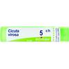 BOIRON Cicuta Virosa 5CH Boiron - 80 Granuli Omeopatici Multidose
