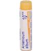 BOIRON Srl Arsenicum Album 10MK Boiron - Granuli Omeopatici Dose 1g