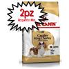 ROYAL CANIN CANE ADULTO CAVALIER KING 3 KG [PREZZO A CONFEZIONE - acquisto min. 2 confezioni]