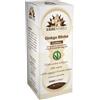 ERBENOBILI Srl FITOMATER GINKGO BILOBA 50ML