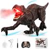Buoeuik Dinosauro Giocattolo, Dinosauro Telecomandato con Spruzzare Ruggendo Camminare Giochi Bambini 6 7 8 9 10 11 12 Anni Gioco Educativi Regalo Compleanno Natale Bimbi Ragazzi Animali Drago Ricaricabile
