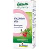 BOIRON SRL BO.VACCINIUM VITIS MG 60ML INT