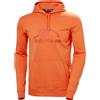 HELLY HANSEN NORD GRAPHIC PULL OVER HOODIE Felpa Outdoor Uomo