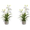 Orchidea artificiale Cymbidium - kaiserkraft