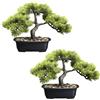 Pianta artificiale bonsai di pino - kaiserkraft