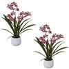 Pianta artificiale Orchidea Cambria - kaiserkraft