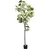 Albero d'acero, pianta artificiale - kaiserkraft