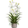 Orchidea artificiale Cymbidium - kaiserkraft