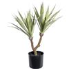 Agave, pianta artificiale - kaiserkraft