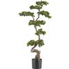 Pianta artificiale bonsai di pino - kaiserkraft
