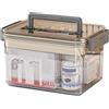 EACHPT Cassetta per medicinali portatile, 23 x 18 x 14,5 cm, scatola di pronto soccorso con contenitore per medicinali domestici