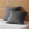 Sonive Federa per cuscino da 40 x 40cm in set da 2 pezzi, traspirante | al 100% in microfibra, resistente e ipoallergenica, di colore grigio